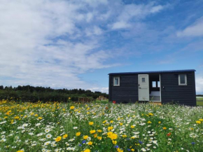 Barley Shepherd Hut - Snettisham Meadows